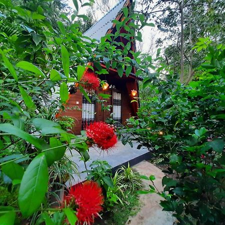 The Otunna Guest House Sigiriya Ngoại thất bức ảnh