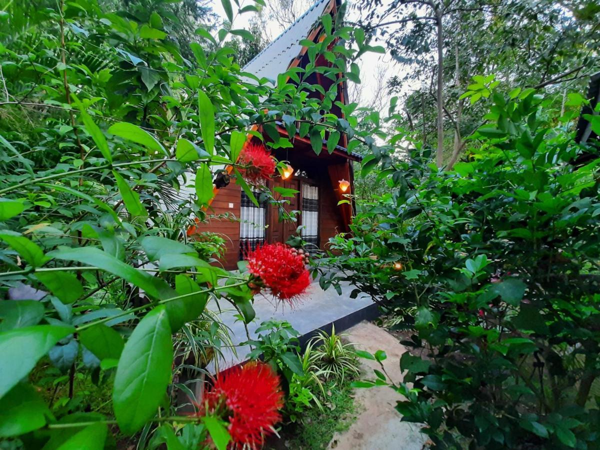 The Otunna Guest House Sigiriya Ngoại thất bức ảnh