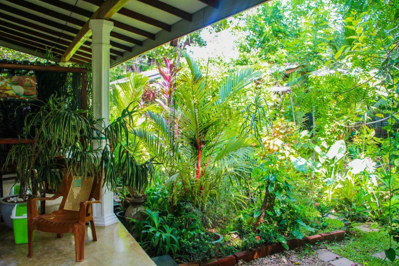 The Otunna Guest House Sigiriya Ngoại thất bức ảnh