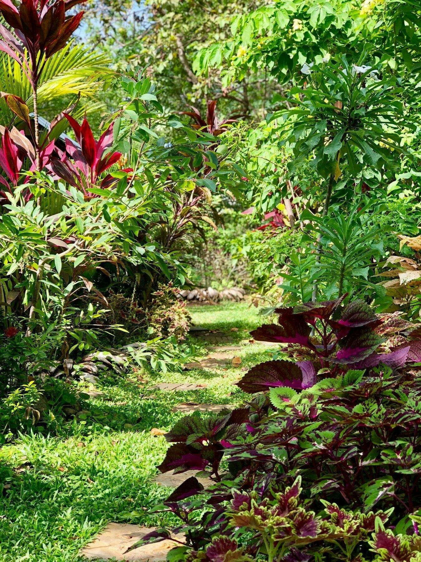 The Otunna Guest House Sigiriya Ngoại thất bức ảnh